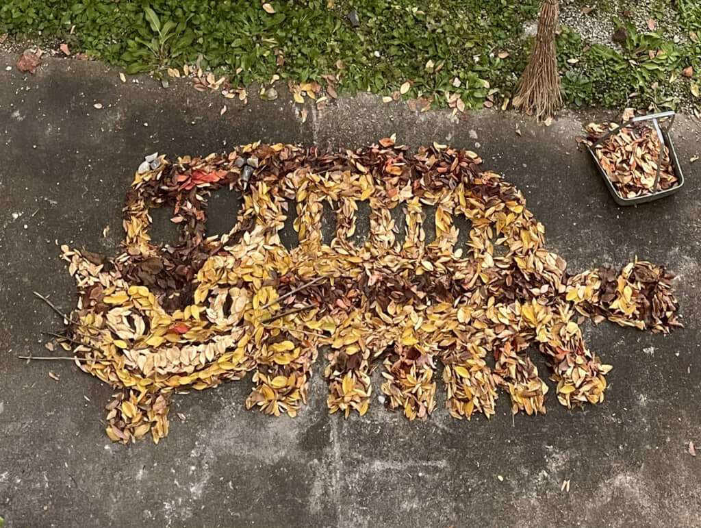 ネコバス（となりのトトロ）