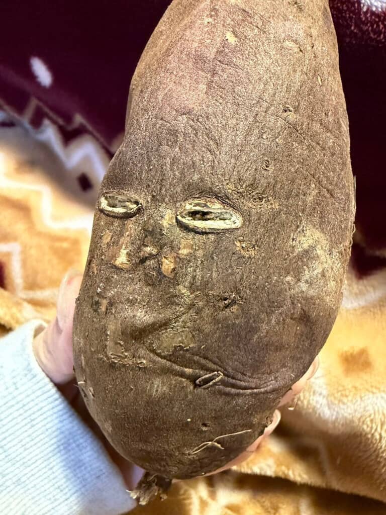 角度を変えるとさらに人の顔に見えてきます