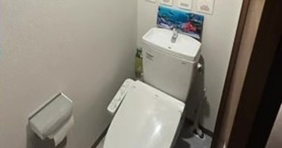 自宅のトイレを思いっきりリトルマーメイドの世界に変身させたら……　まさかの空間に「入場料取れるやん」「待って本物じゃないの？www」（1/3） | リフォーム・リノベーション・DIY ねとらぼ