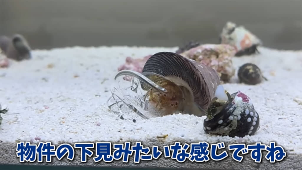 下見を始めました