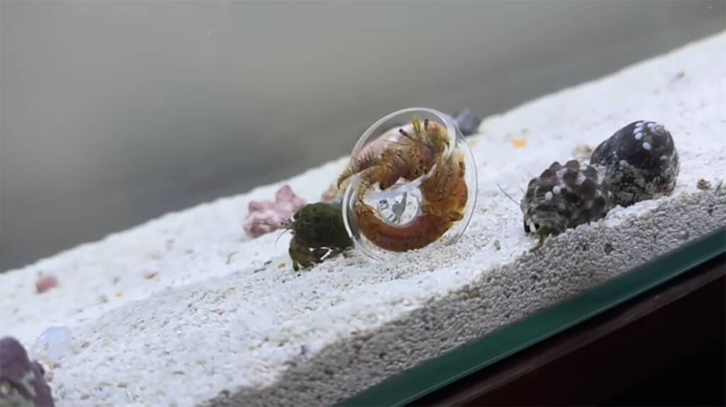 引っ越し完了です！