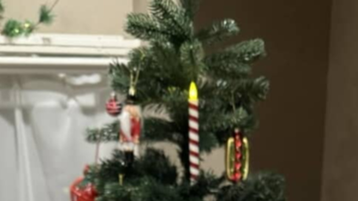 「考えた人は魔法使いなの？」　母が3COINSで買ってきたクリスマスグッズが天才的！　「めっちゃいいやん！」「あ、これは楽しいかも」（1/3） | ライフスタイル ねとらぼ