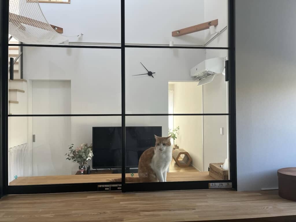 ガラス戸の外からおやつを要求するマイケルちゃん