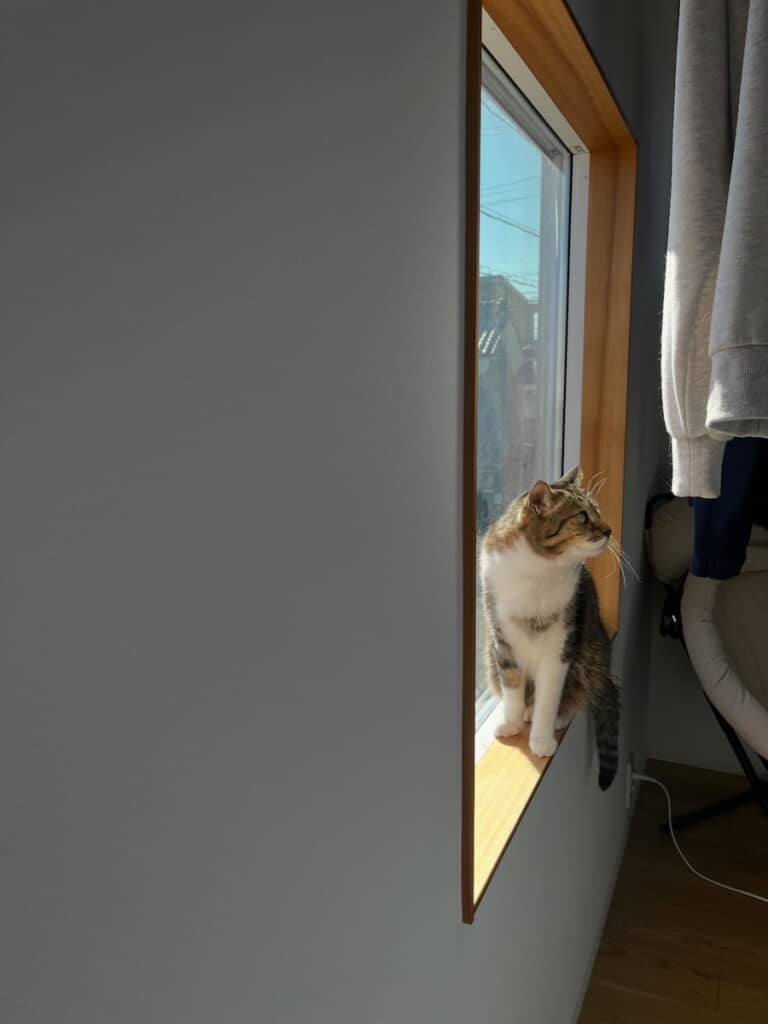 窓のサッシのところが温かいと気付いたトムちゃん