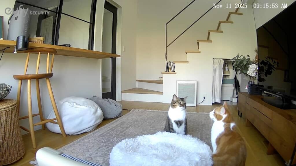 マイケルちゃんが劣勢……？