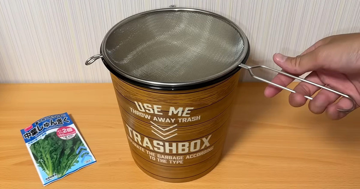 ダイソーのゴミ箱に春菊の種をまいて10カ月後……　“土なし”なのにまさかの結果「いやぁ～楽しいですね」「やってみたい」（1/3） | ライフハック ねとらぼ