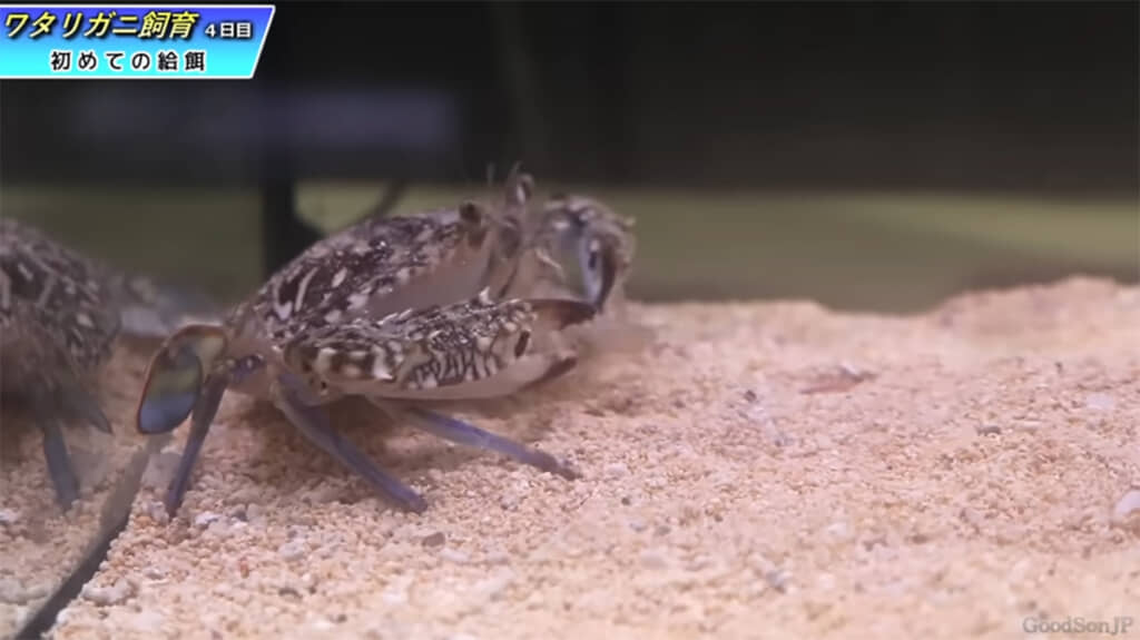 警戒心よりも食欲！！なようです