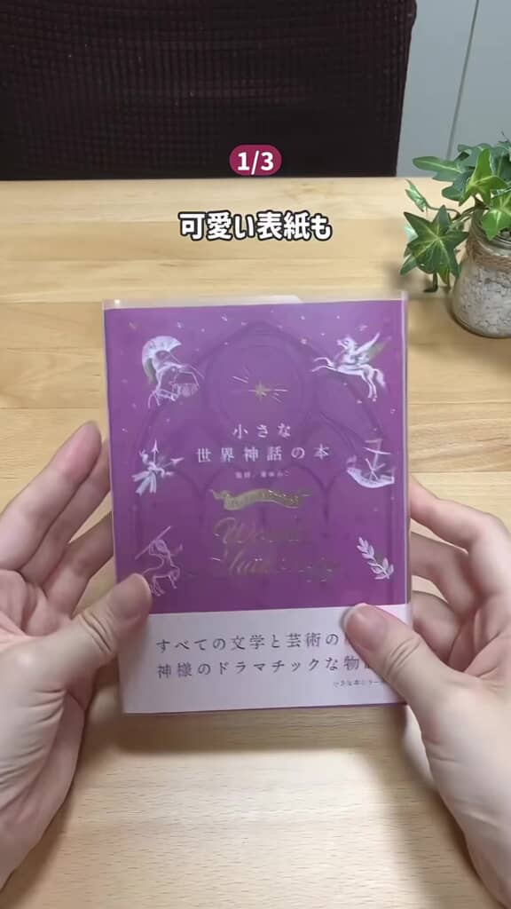 クリアファイルで作ったブックカバーを本に装着