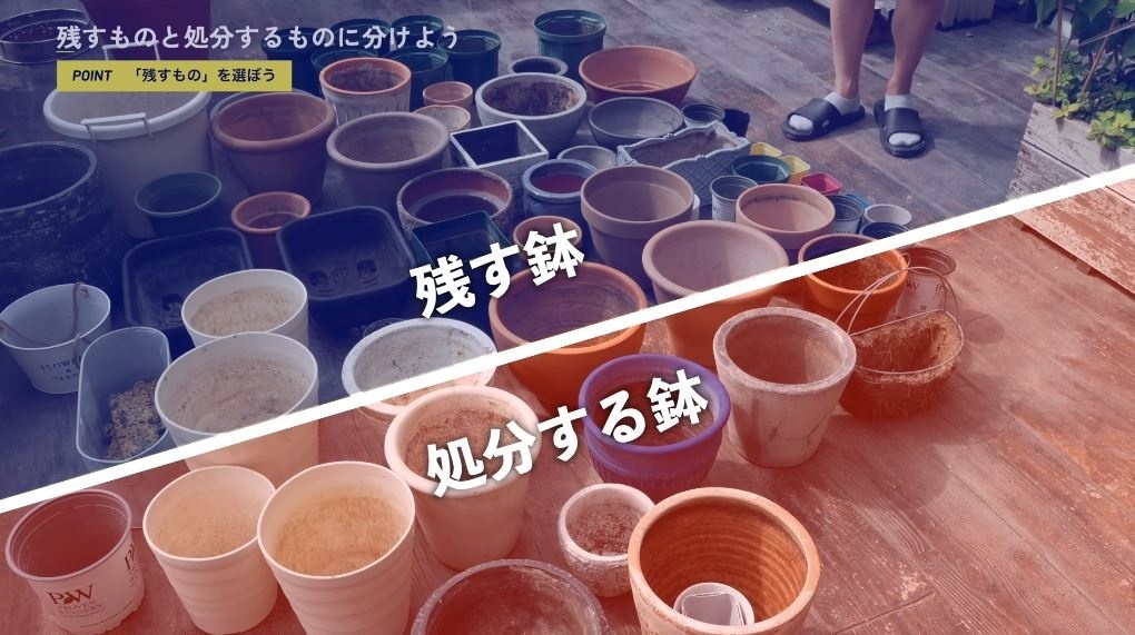 残す鉢は向こう側に、処分する鉢は手前に移動させる