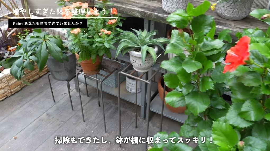 鉢のレイアウトも戻して完了