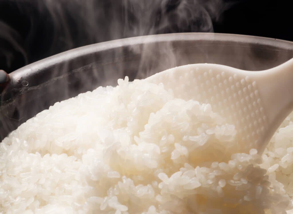 ごはんとしゃもじのイメージ画像