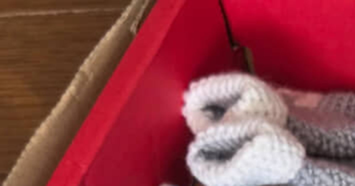 実家に帰ったら、72歳の母が編み物で“大量生産”していたものは……　娘仰天の光景に「業者？」「これは売った方が良い」（1/2） | 編み物 ねとらぼ