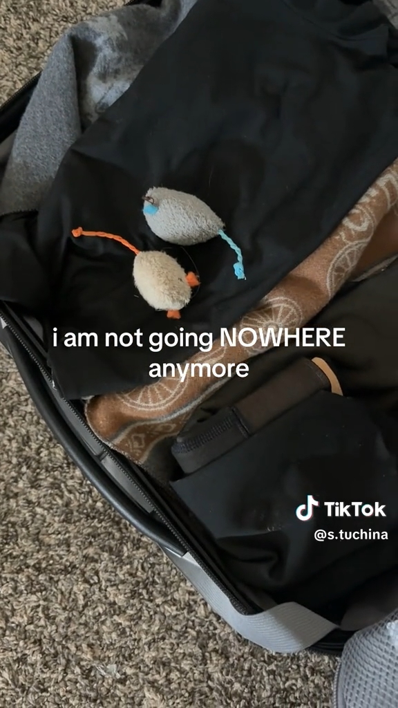 愛猫がネズミのおもちゃをスーツケースに入れていた