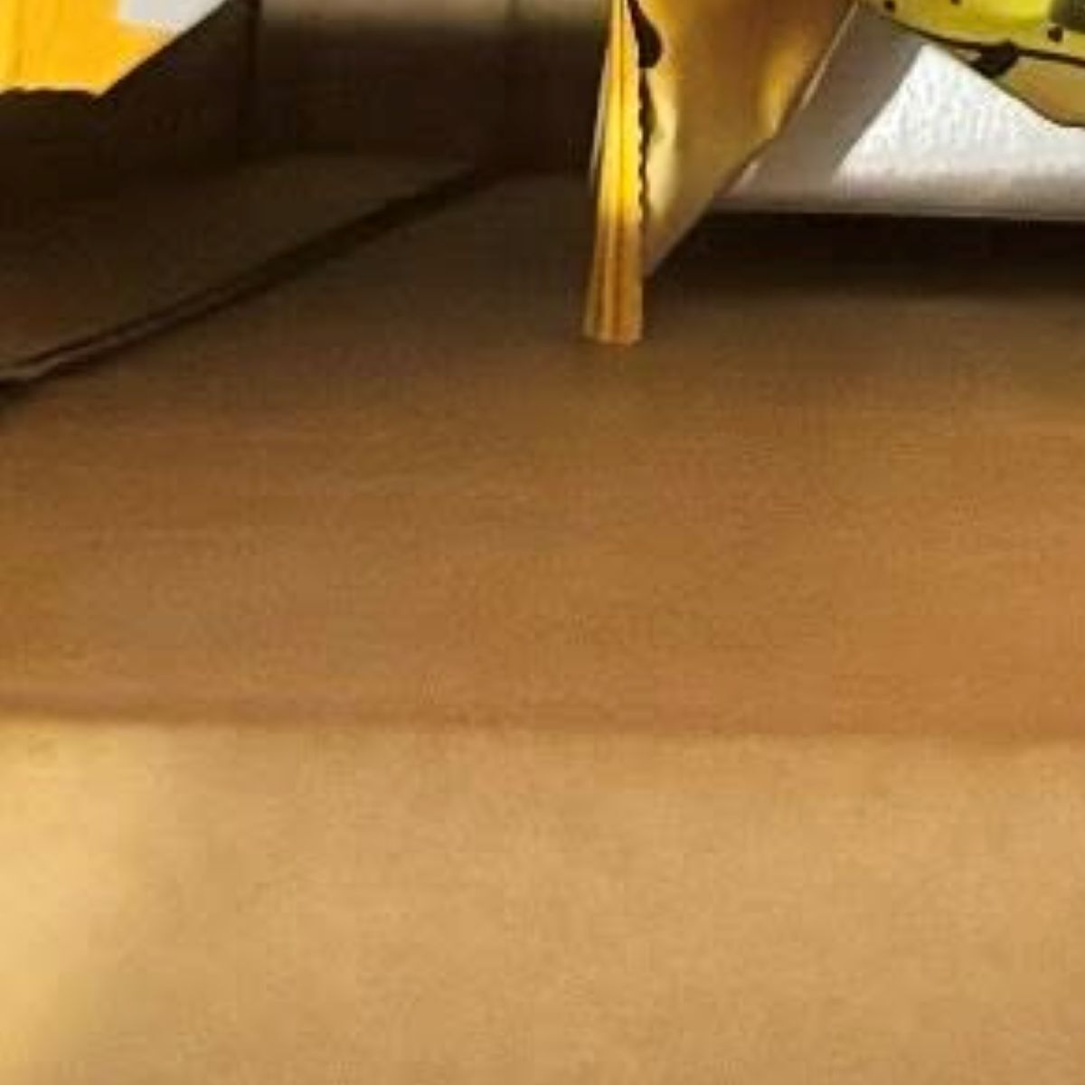 実家の母に「九州限定のポテチ送って」と頼み→数日後……　届いた“箱の中身”に「電車内で笑ってしまった」「豪快」 | グルメ ねとらぼ