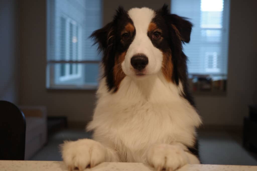 なにか要望があるとき