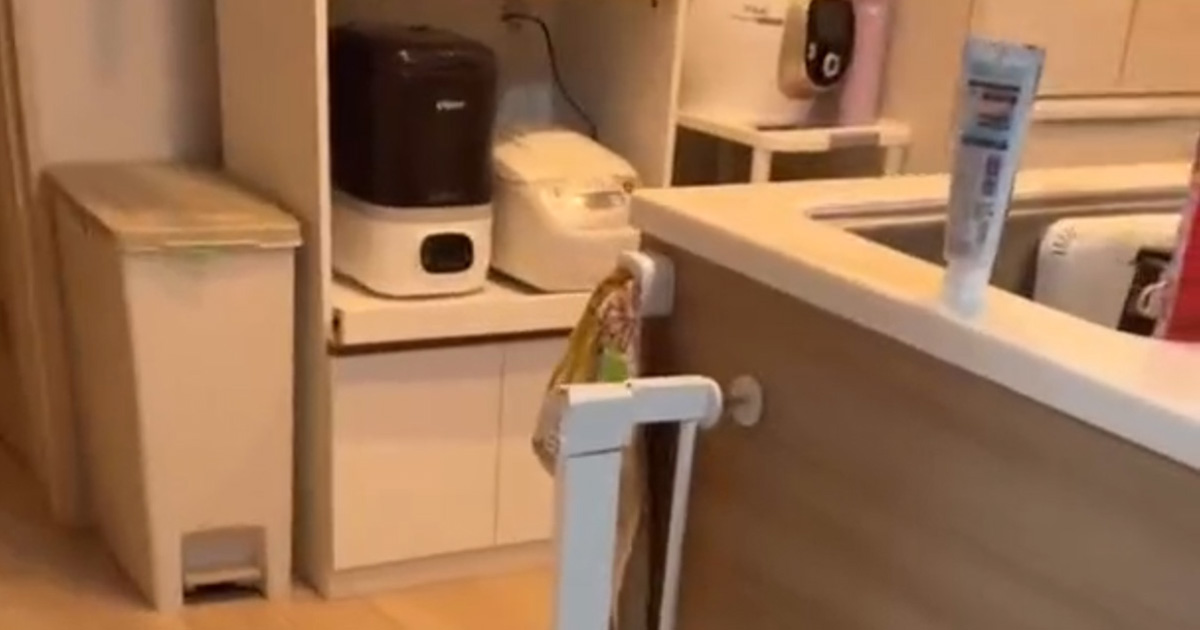 「ガサゴソ」と音がするキッチン→ママがこっそりのぞくと……「こんなん見たら絶対怒れない」　“まさかの光景”に「将来この子は大物になるよ」（1/2） | 育児 ねとらぼ