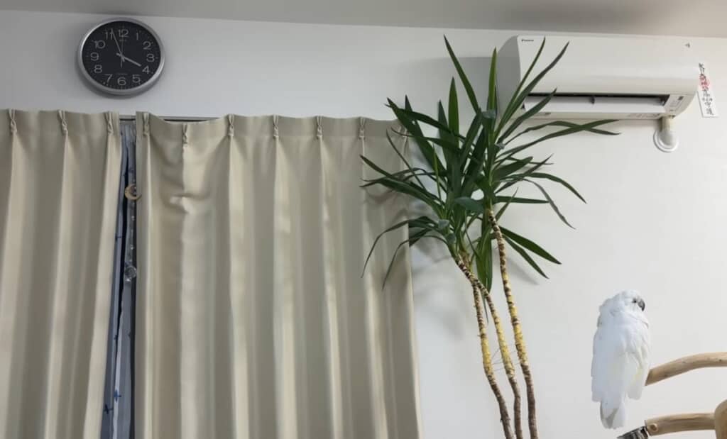 特に問題はなさそうですが様子を見ることに