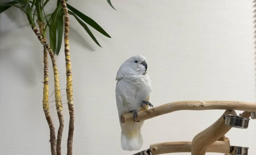 落ち着いたようなので、寝ることに