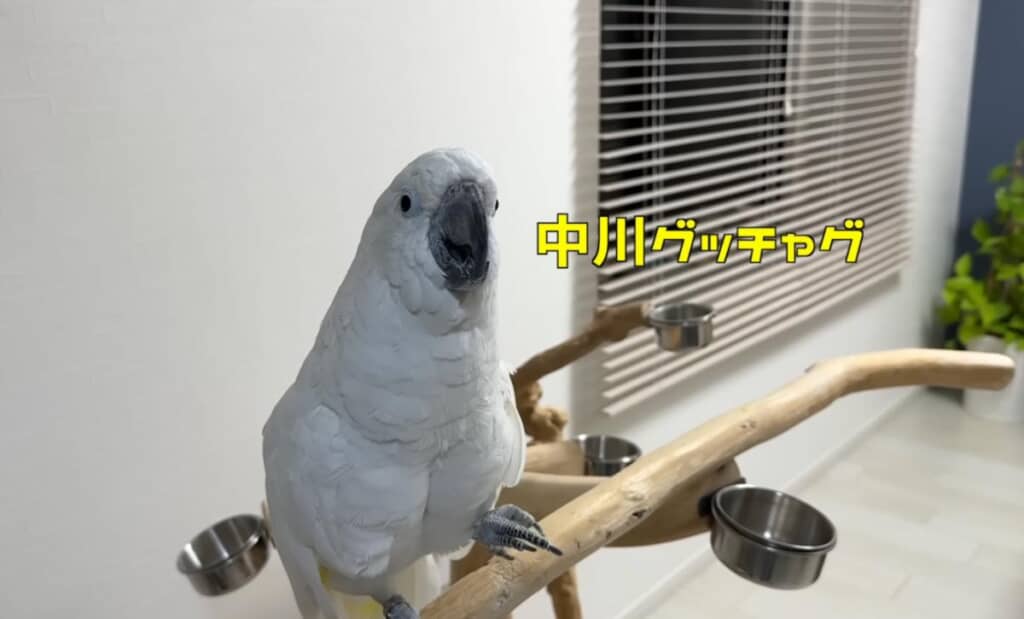 早朝からおしゃべり