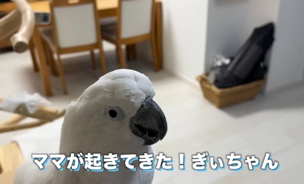 大好きなママさんも起きてきた！