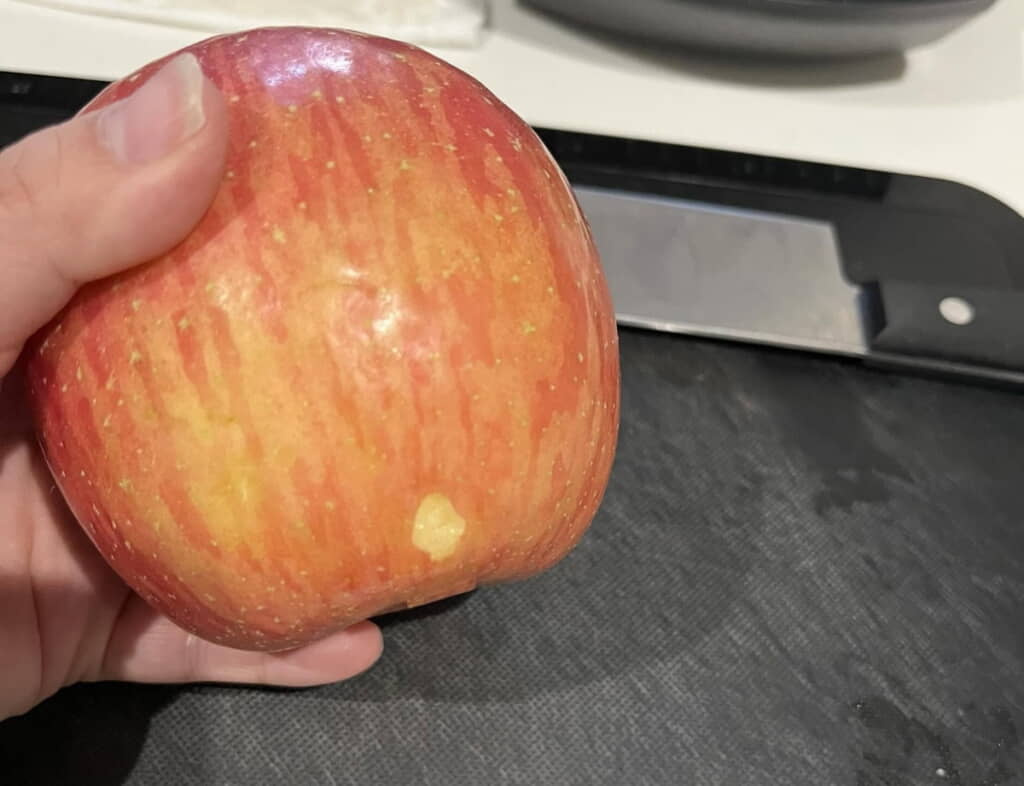 小さなあとがありました！