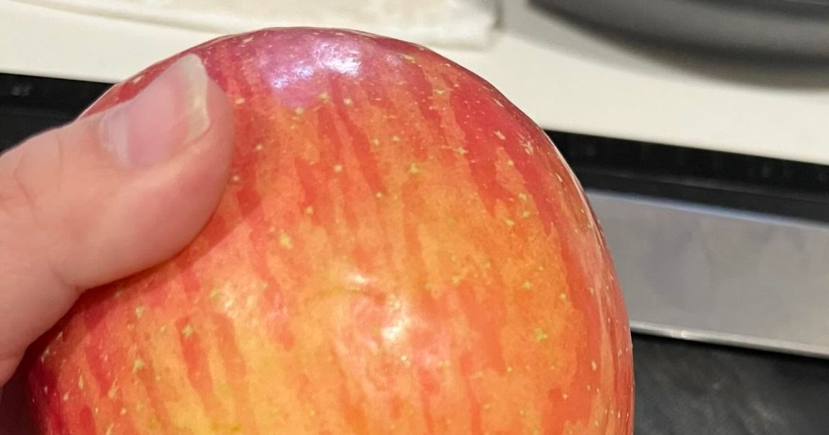 3歳息子「りんご丸かじりしたい」→想像通りの結果に爆笑 「ちっちぇwwww」「りんご側もびっくり」（1/3） | 教育・子育て ねとらぼ