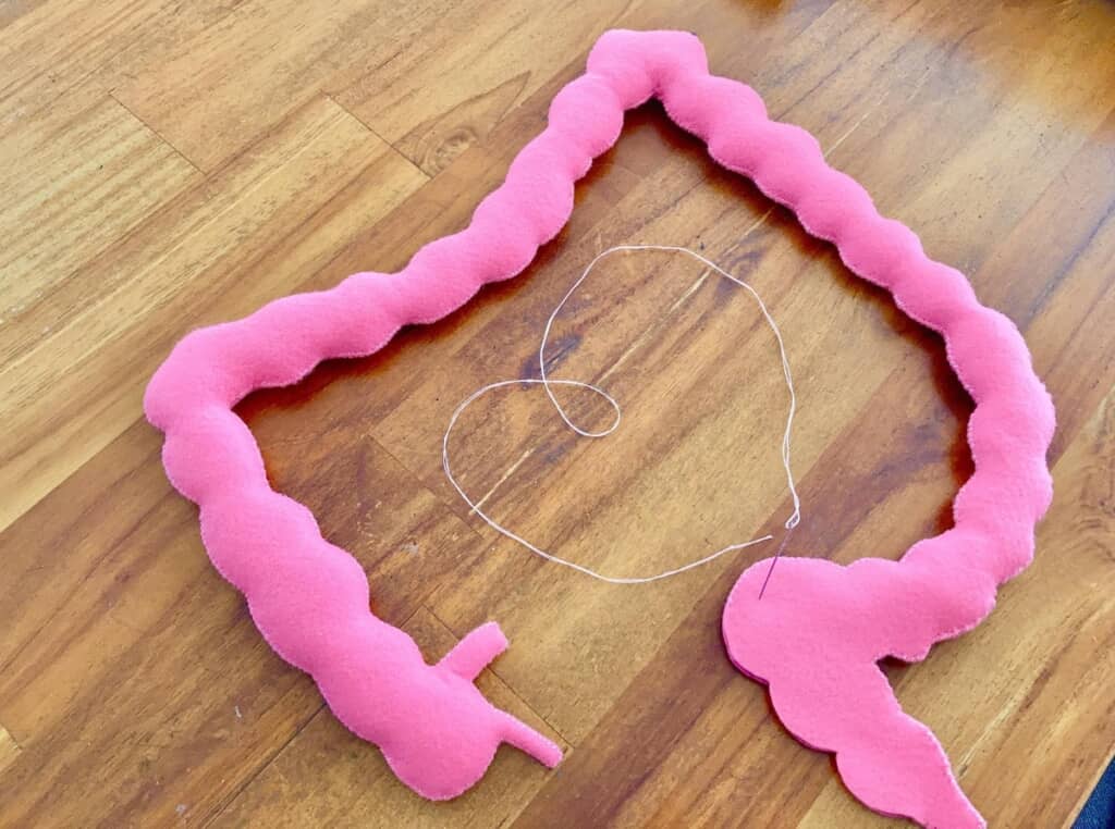 フェルトの大腸！