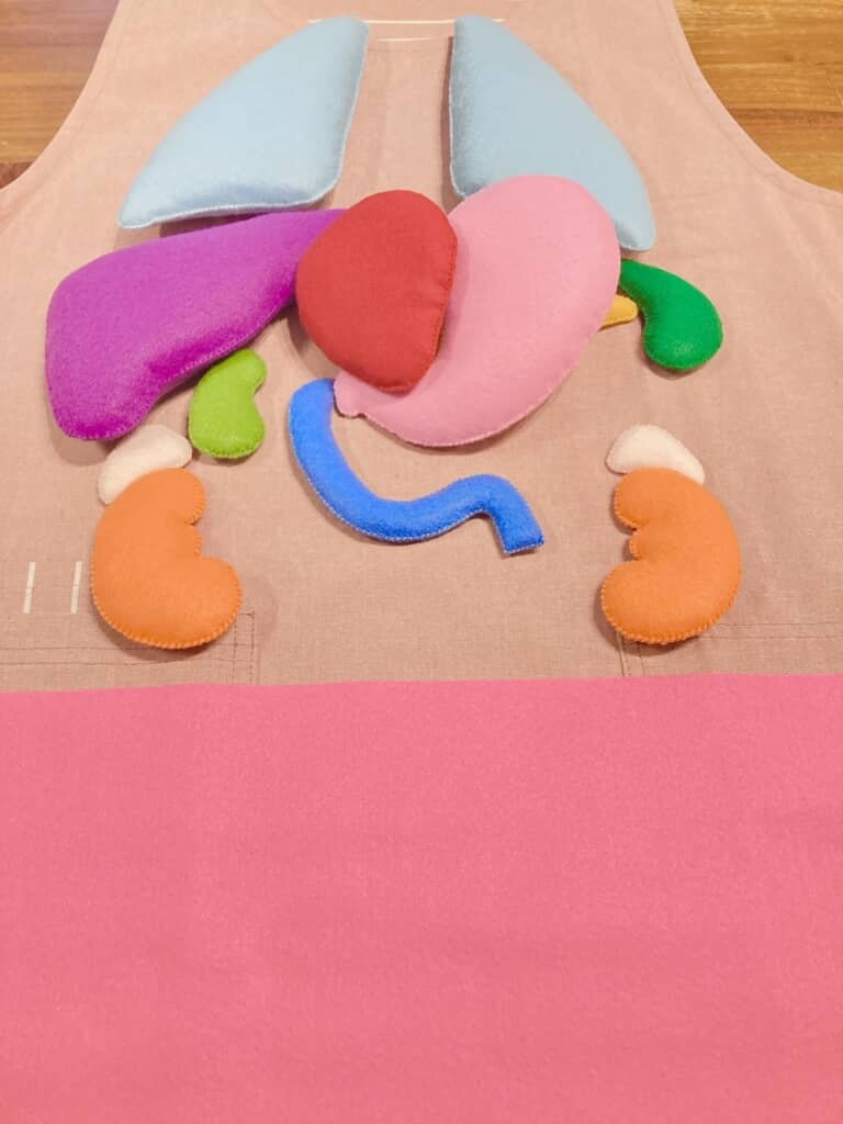 肺や肝臓、腎臓なども錬成！