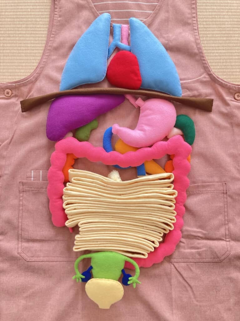 完成した“フェルトの内臓”