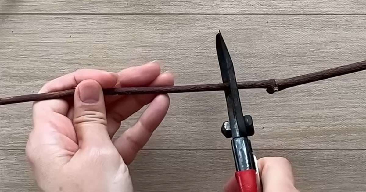 小枝をばっさりカット→組み立てたら……　飾った瞬間“クリスマス感あふれる”作品に「とても素敵」「すごい！」（1/3） | ハンドメイド ねとらぼ