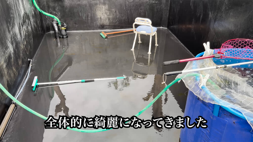 全体的にキレイになりました