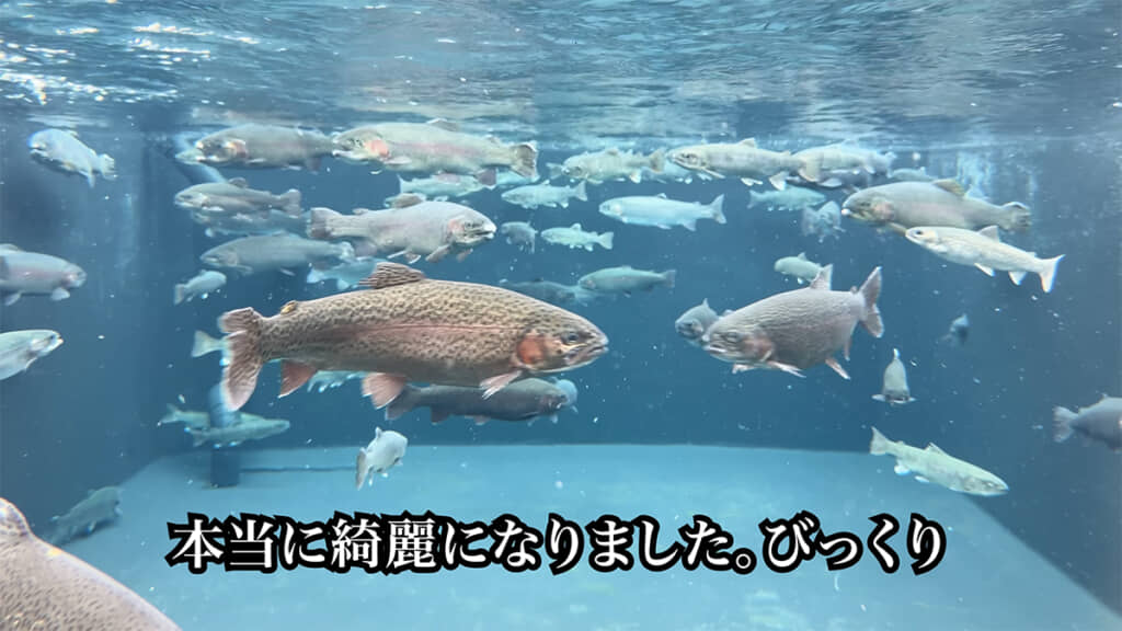 とってもキレイになりました