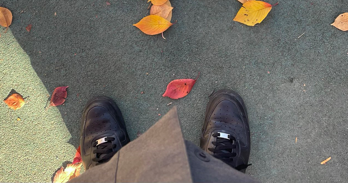 「できたゾ」　美術教師が落ち葉を集め、作ったのは……「これはすごいぞ」　3700万表示の“衝撃の完成形”に大反響（1/2） | カルチャー・アート ねとらぼ