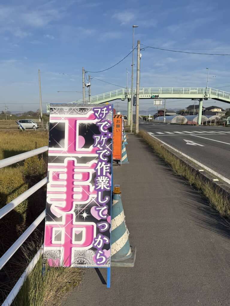 正面からの写真も