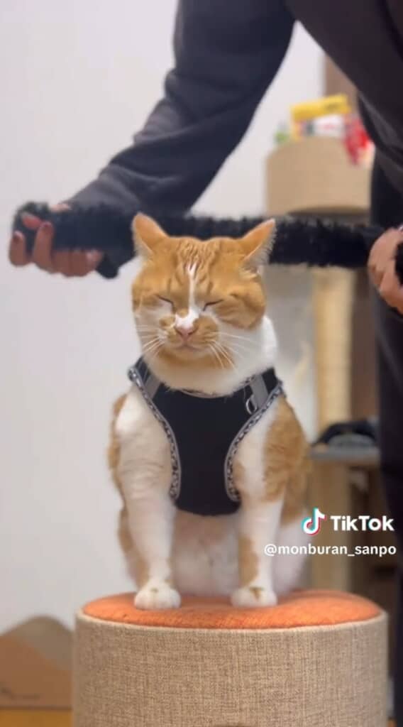 首元にマフラーを巻いてもらいます