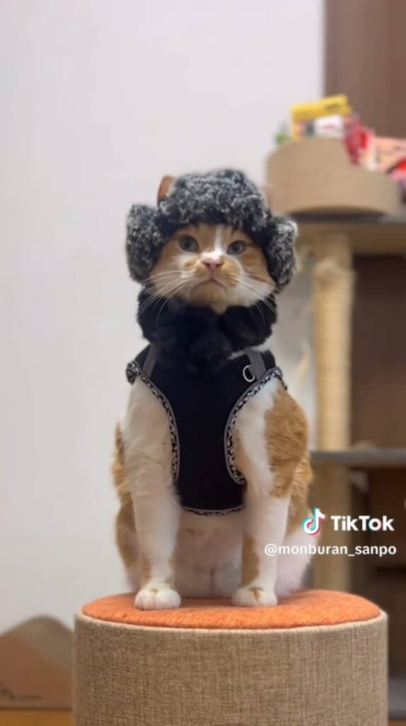 これは既視感ありますね