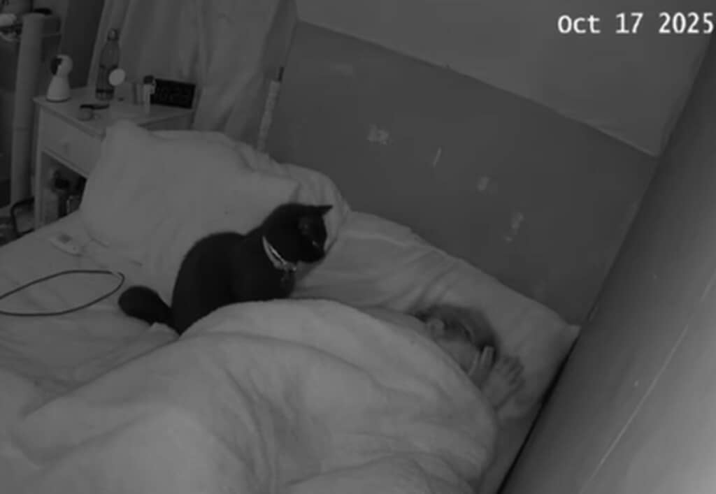 飼い主の発作を察知する猫