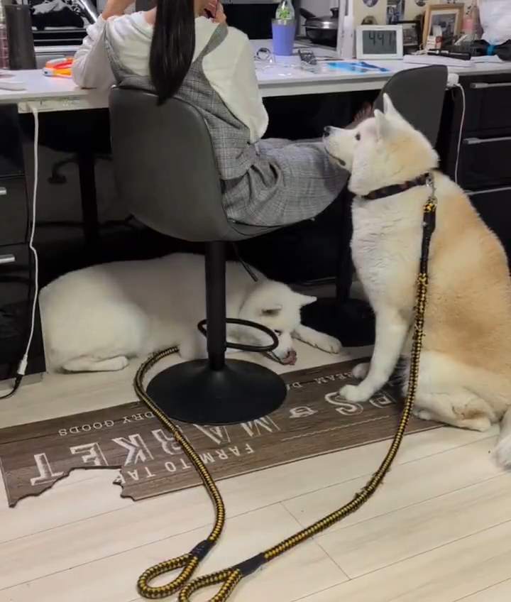 ……クルミちゃんはまったく動かない！