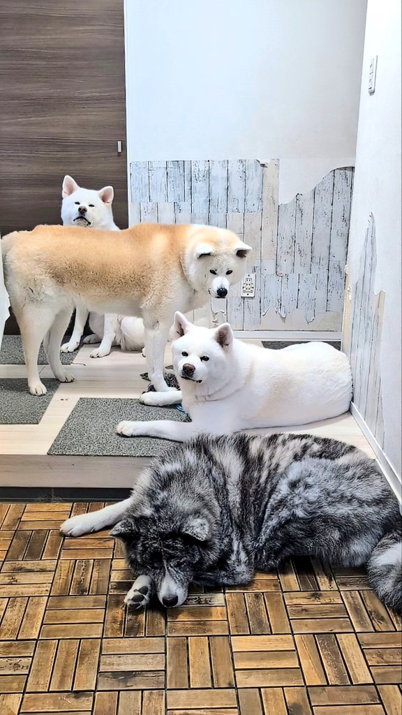 「玄関が狭い（笑）」