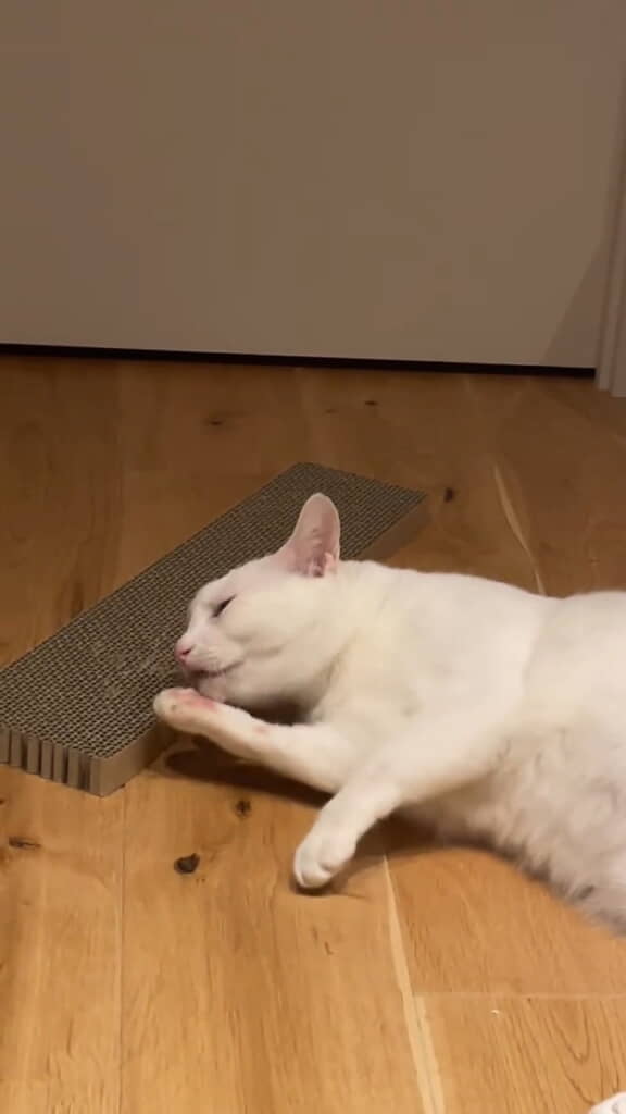 隅々まできれいにしていきます