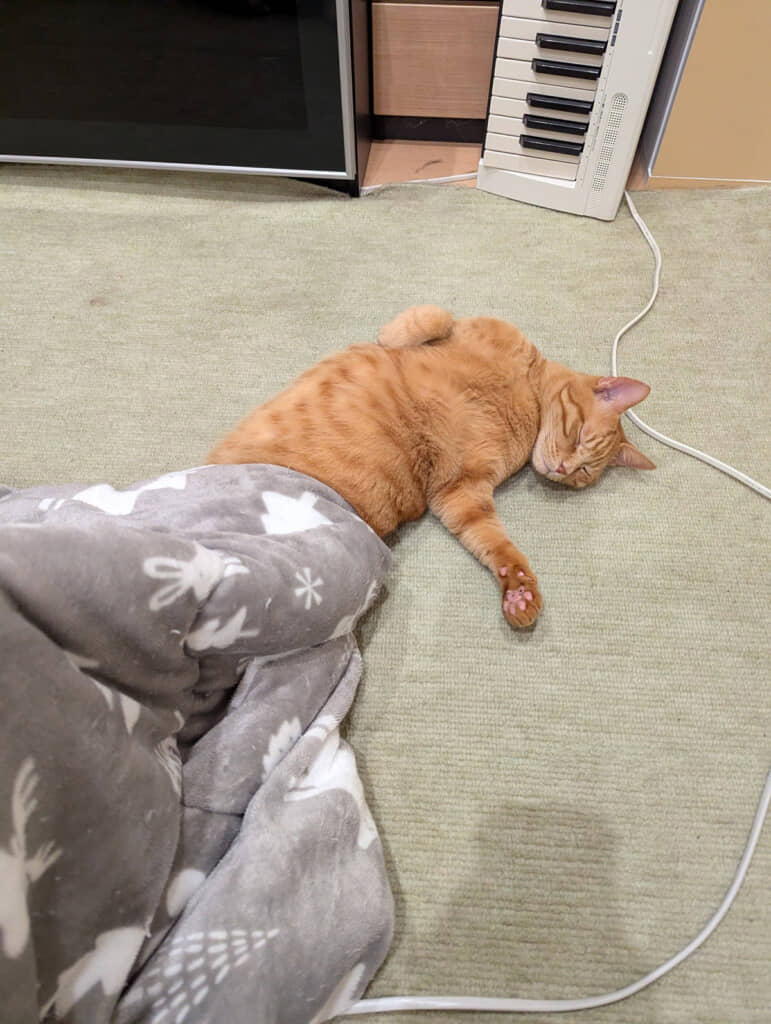 こたつで寝てしまった人間そっくり！