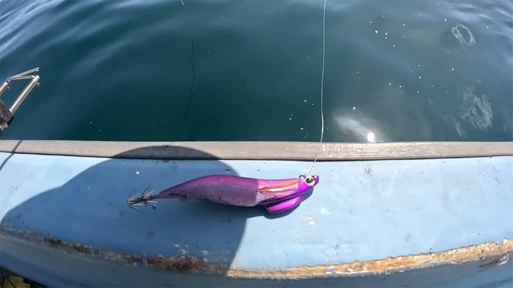 こちらのエギ（疑似餌）を使用して