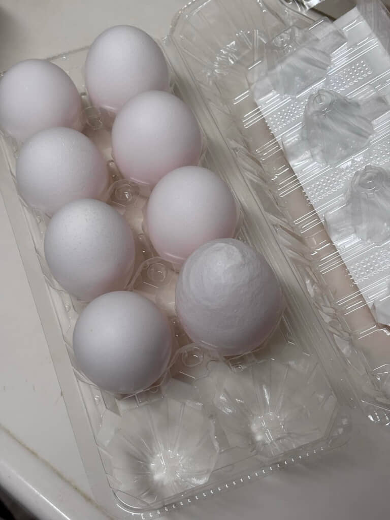 ほかの卵と並べると差がはっきり！