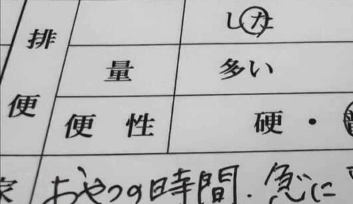 3歳息子、おやつを食べていたら突然……　ママが連絡帳で知った“まさかの行動”に「素晴らしい英才教育」「皇太子かな？」（1/3） | 育児 ねとらぼ