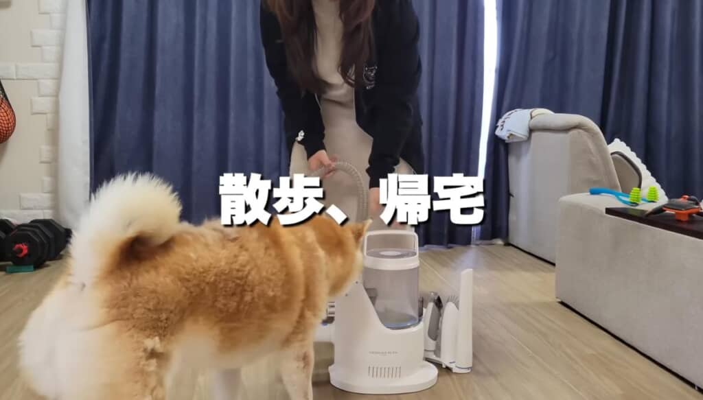 道具を準備してブラッシング！