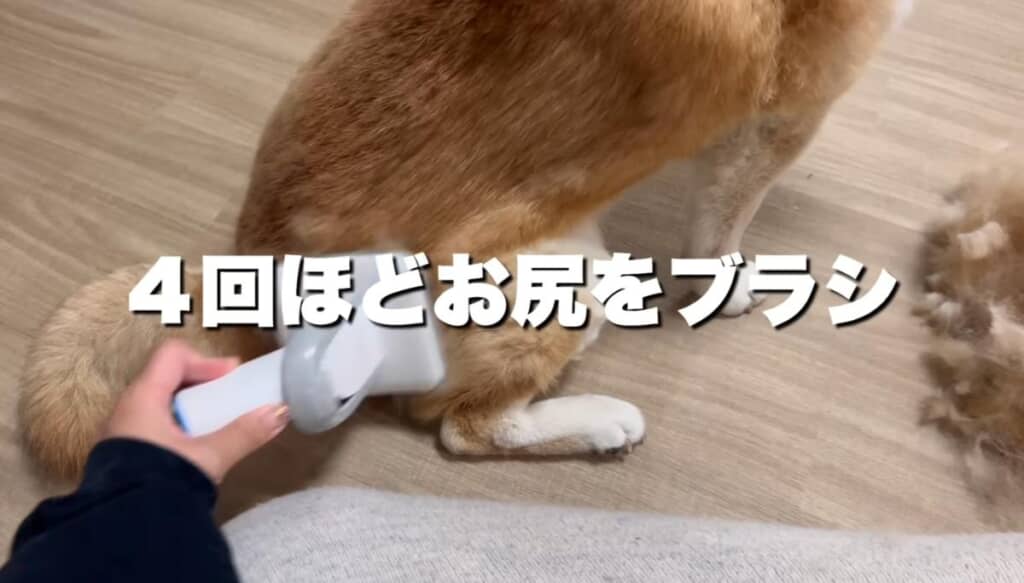 おやつパーティーをはさみつつ、作業を続けます