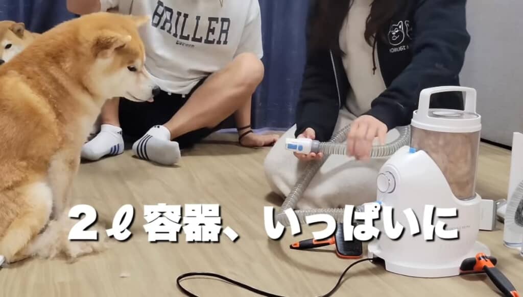 すでに2リットル以上の毛が集まりました