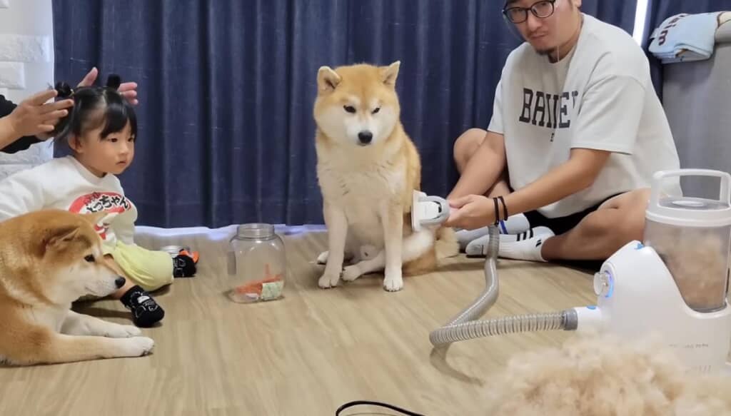 ひよりちゃんも起床して、夫婦は本気モード