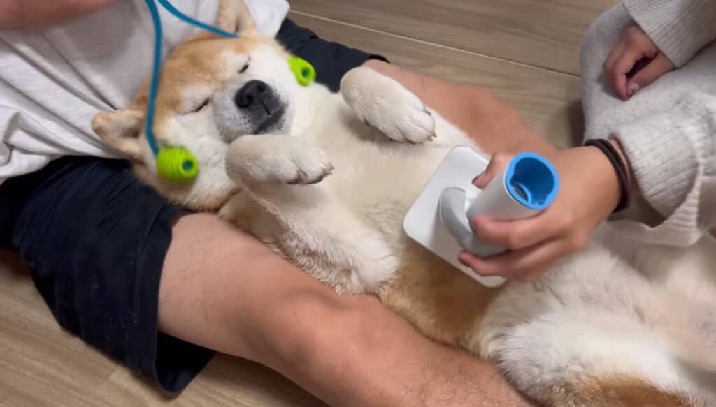 休憩が終わりラストスパート！