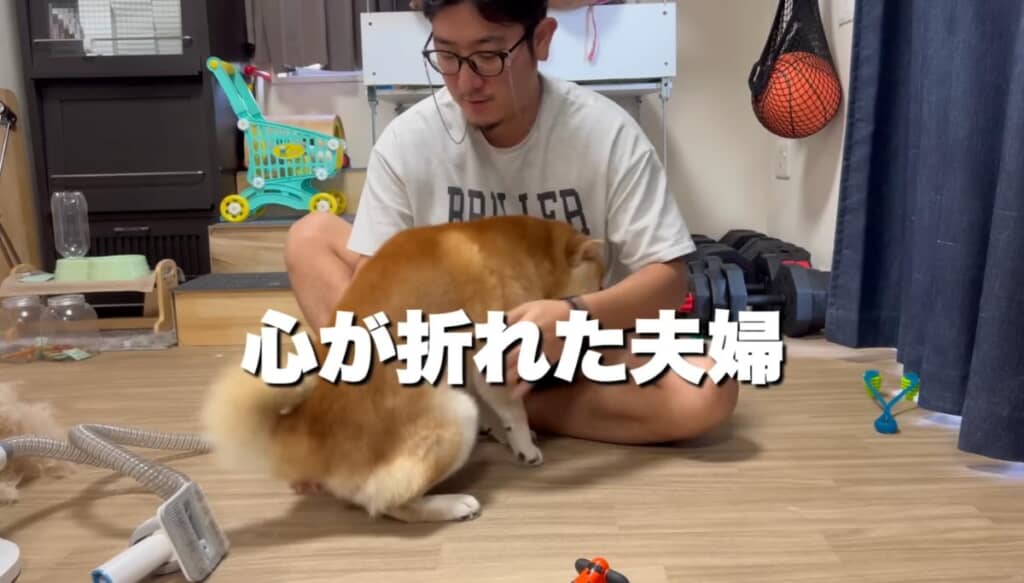 ここで夫婦の心が折れてしまいますが……。